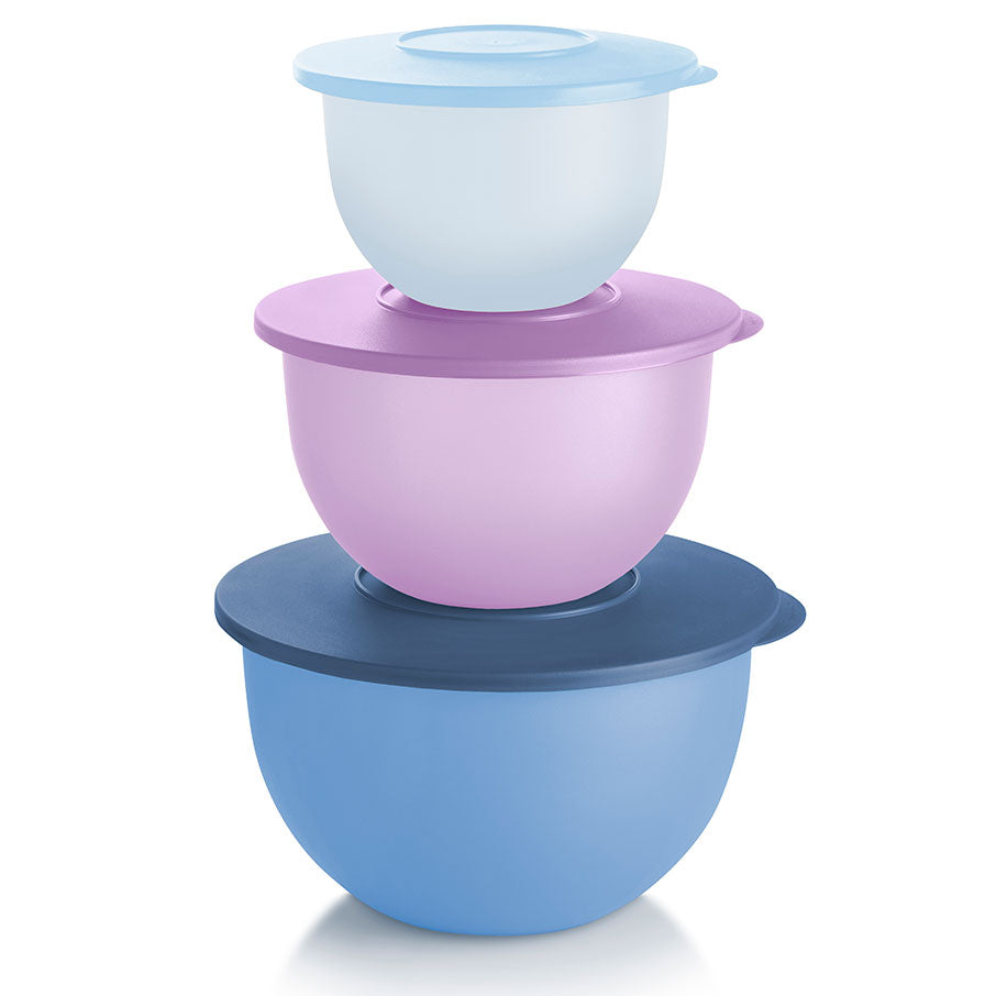 ensemble de bols tupperware impressions classic sorbet libellule brume dislande