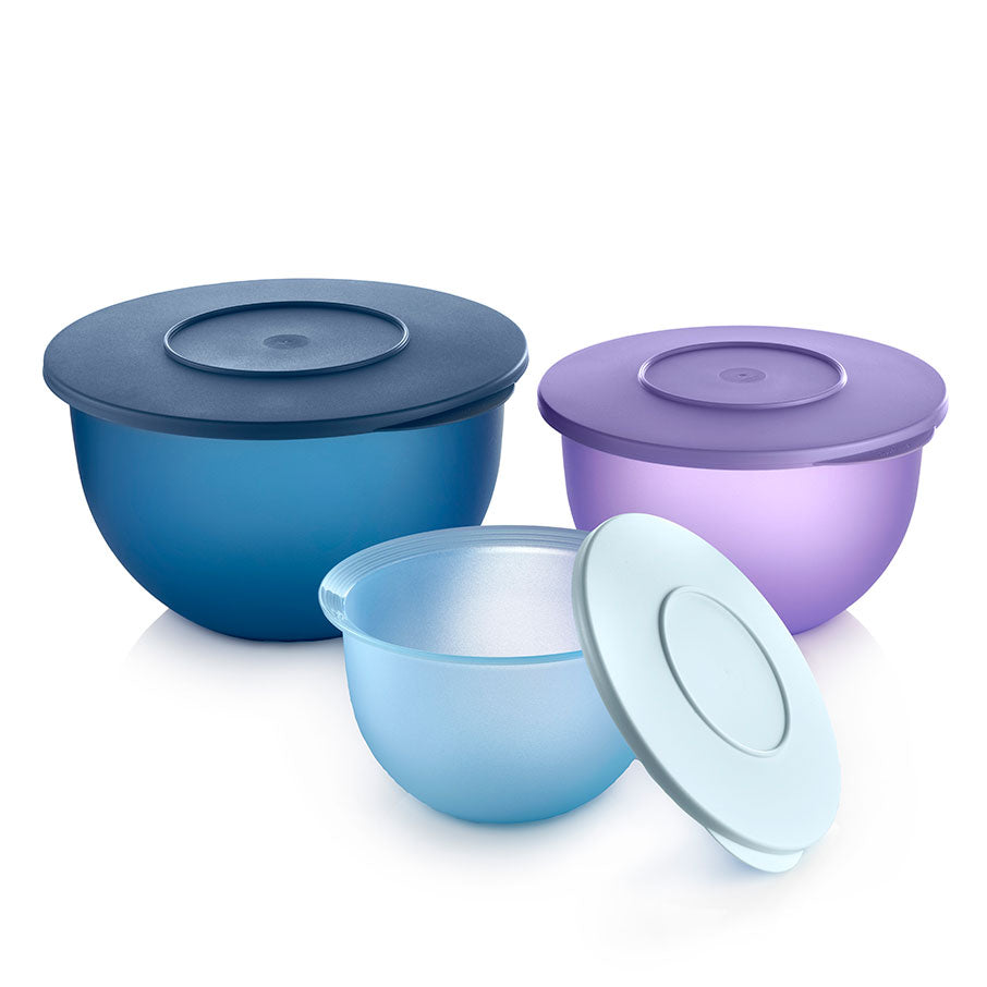 ensemble de bols tupperware impressions classic sorbet libellule brume dislande
