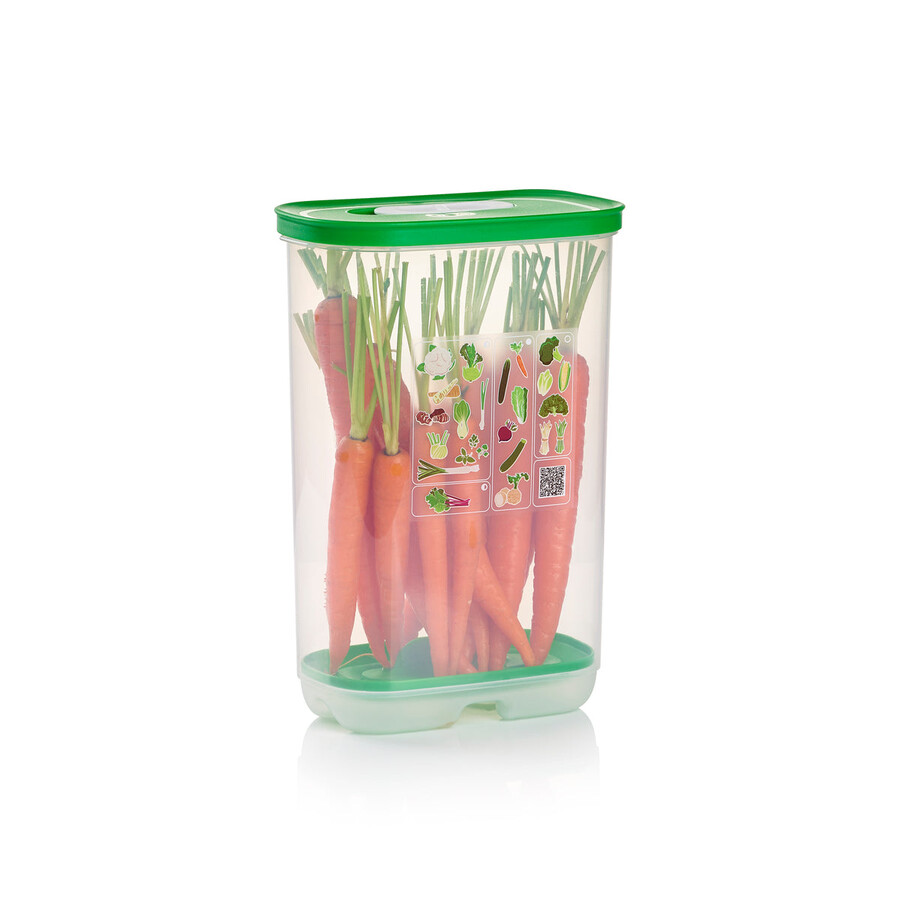 fridgesmart vertical vert hiver