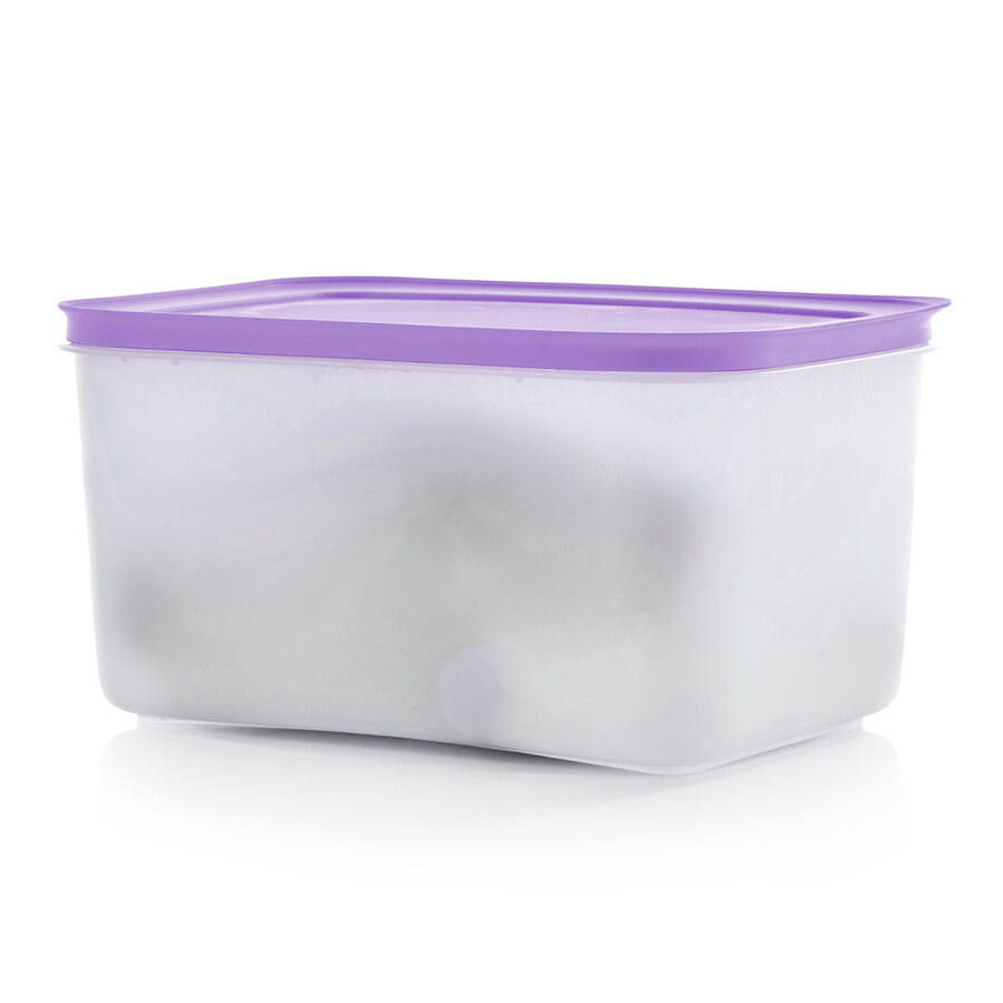boîte de conservation tupperware freezer mates plus moyenne et profonde couvercle sorbet
