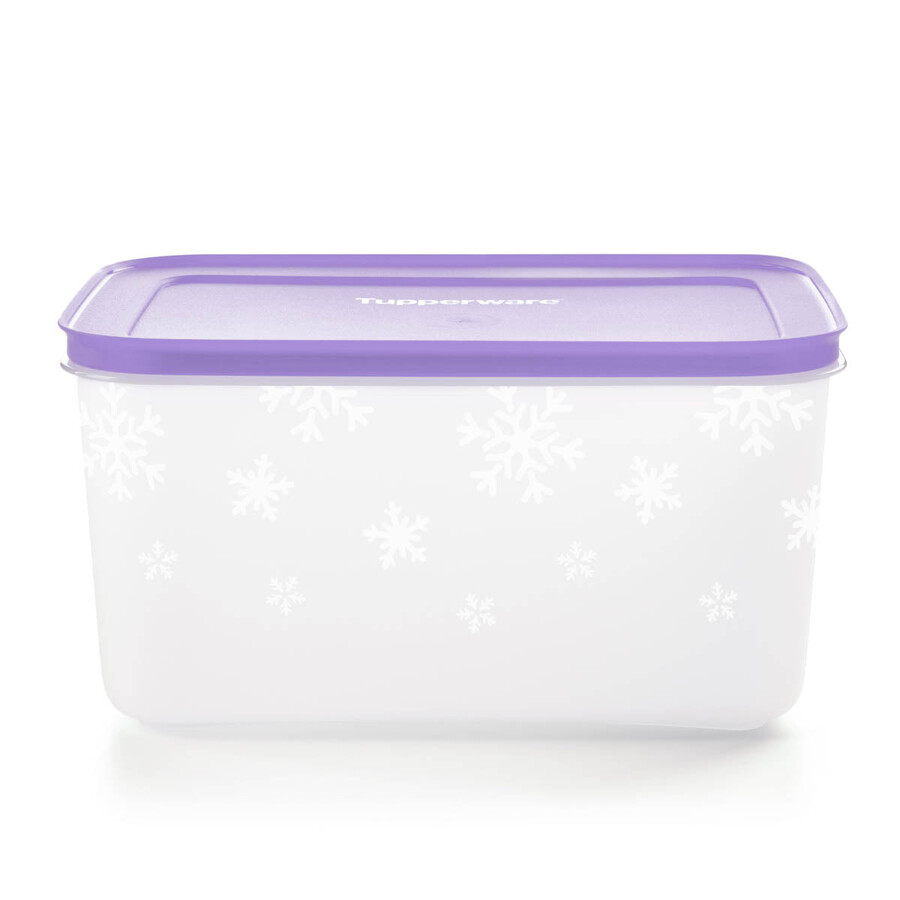 boîte de conservation tupperware freezer mates plus moyenne et profonde couvercle sorbet
