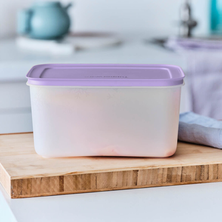 boîte de conservation tupperware freezer mates plus moyenne et profonde couvercle sorbet