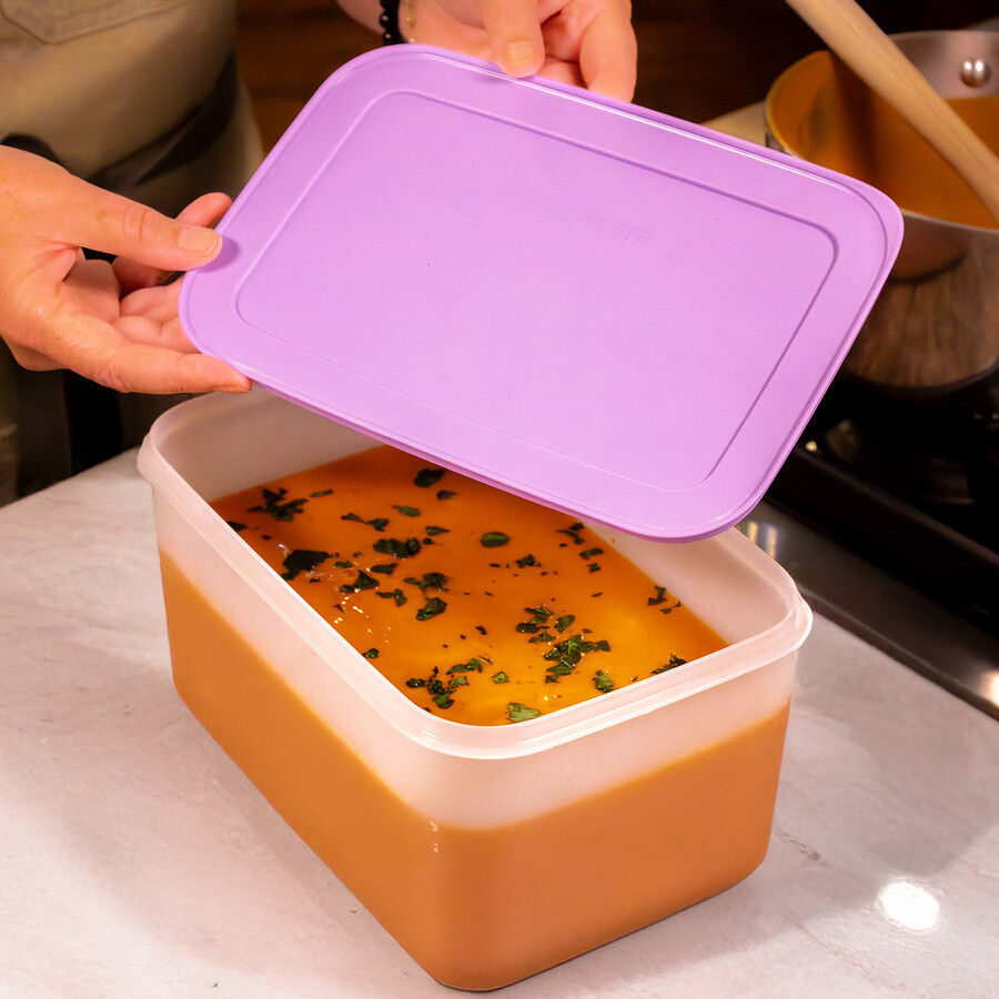 boîte de conservation tupperware freezer mates plus moyenne et profonde couvercle sorbet
