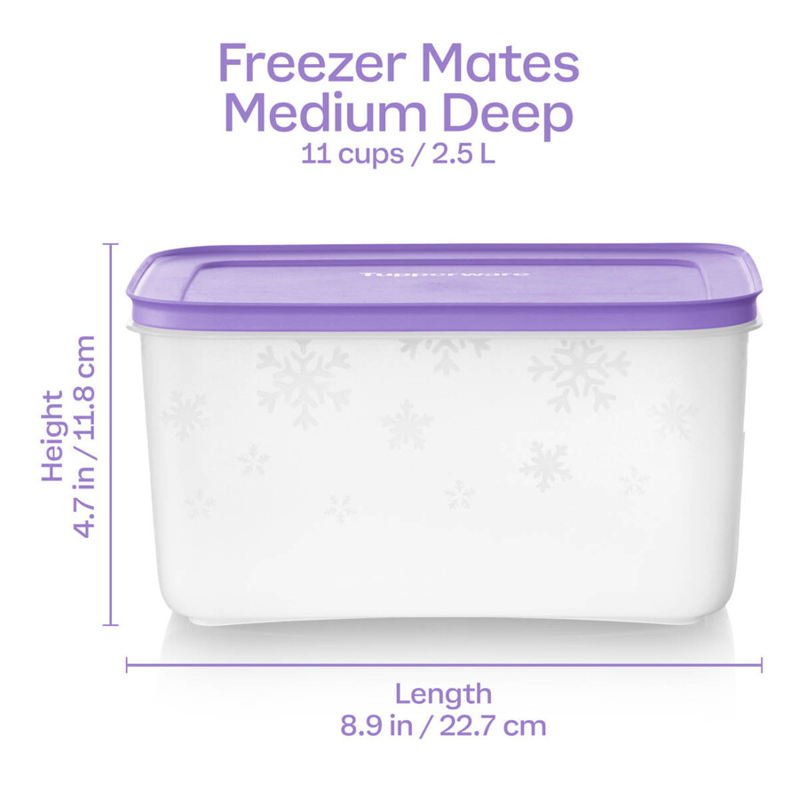 boîte de conservation tupperware freezer mates plus moyenne et profonde couvercle sorbet