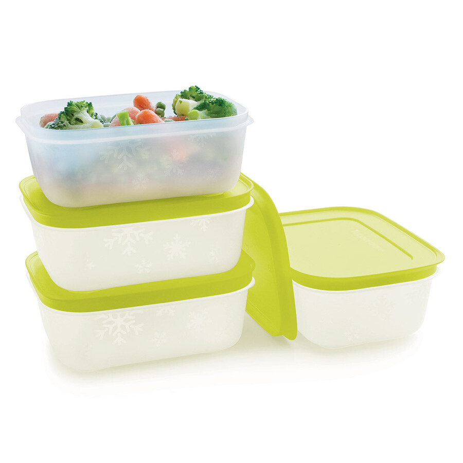 ensemble de 4 boîtes de congélation tupperware freezer mates plus petites et peu profondes