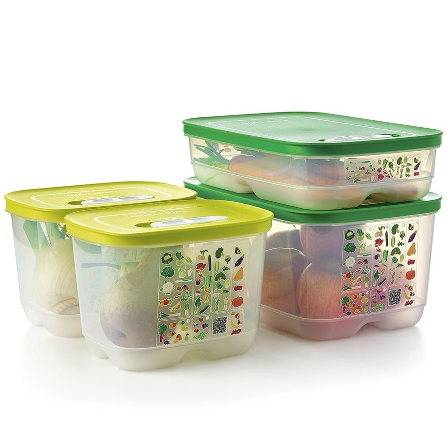 fridgesmart ensemble de démarrage 4 pièces margarita petite et profonde vert dhiver moyenne moyenne et profonde