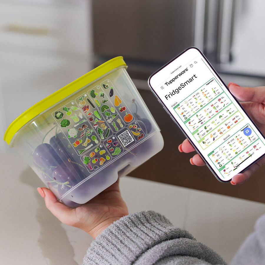 fridgesmart ensemble de démarrage 4 pièces margarita petite et profonde vert dhiver moyenne moyenne et profonde