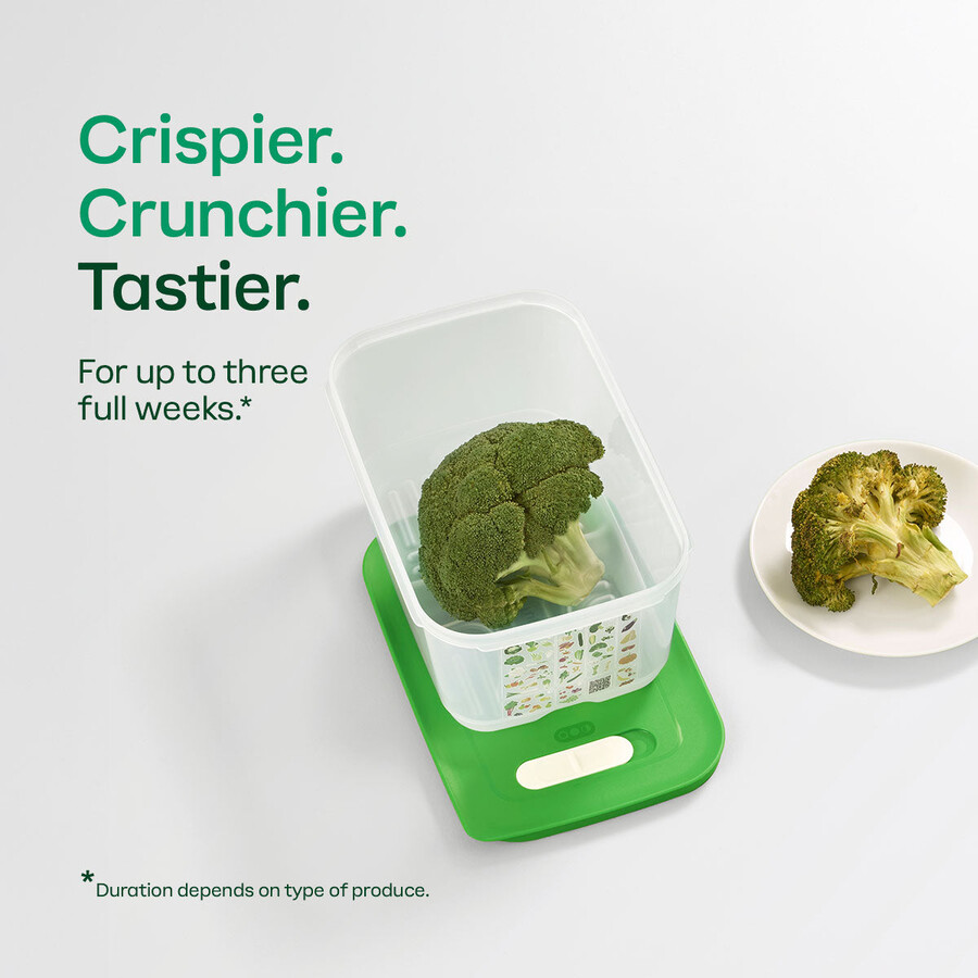 fridgesmart ensemble de démarrage 4 pièces margarita petite et profonde vert dhiver moyenne moyenne et profonde
