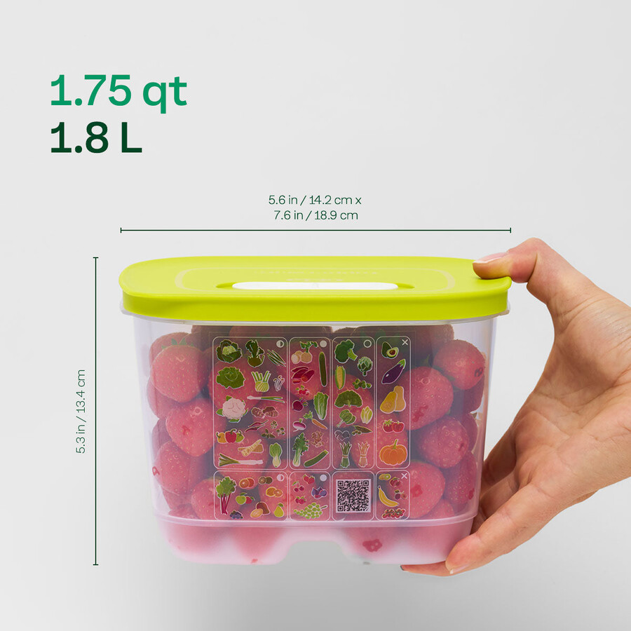 fridgesmart ensemble de démarrage 4 pièces margarita petite et profonde vert dhiver moyenne moyenne et profonde