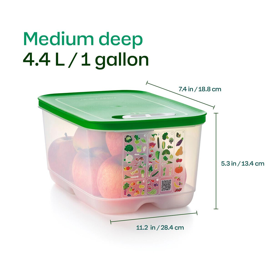 fridgesmart ensemble de démarrage 4 pièces margarita petite et profonde vert dhiver moyenne moyenne et profonde