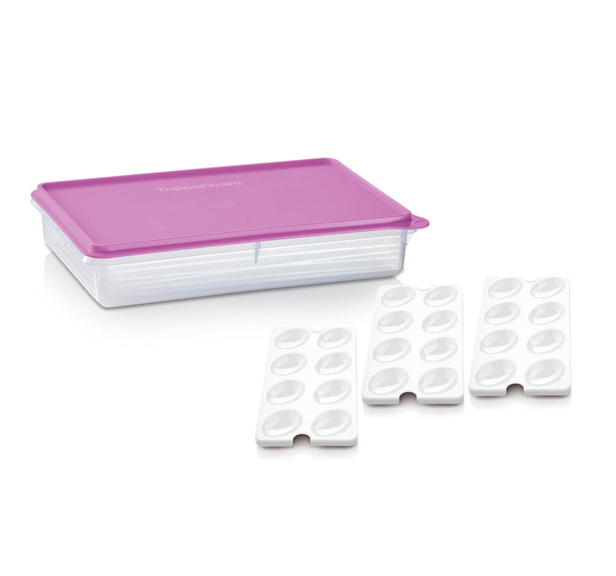 boîte de rangement tupperware snack-stor grand format avec compartiment pour 3 œufs mûre sauvage