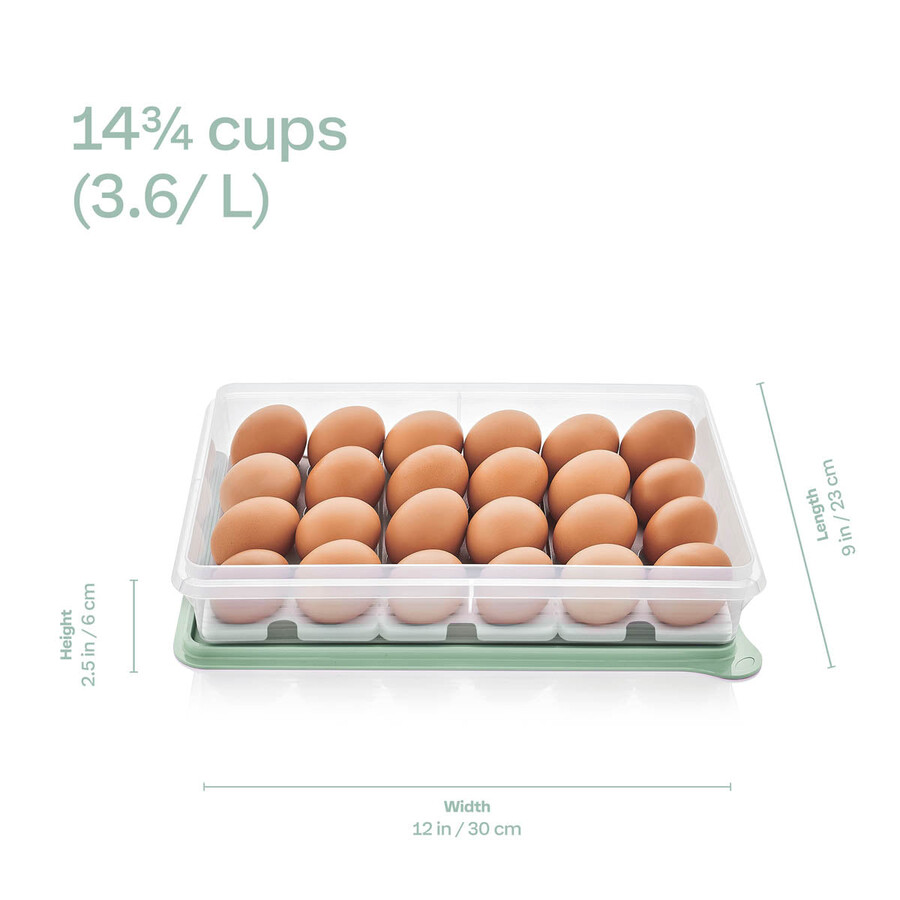 boîte de rangement tupperware snack-stor grand format avec compartiment pour 3 œufs mûre sauvage