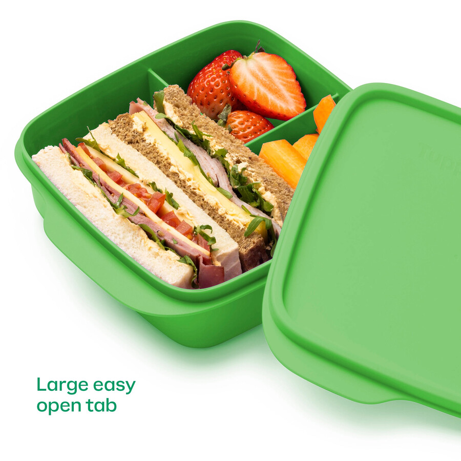 contenants tupperware lunch-it