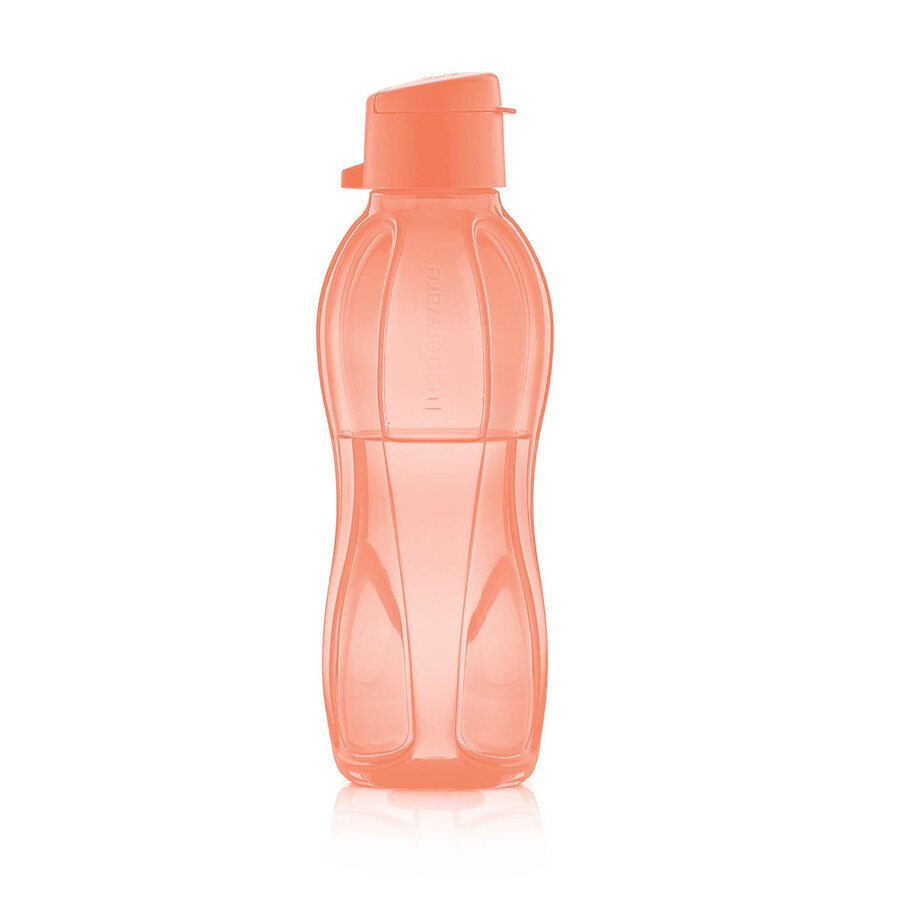bouteille eco petit modèle orange