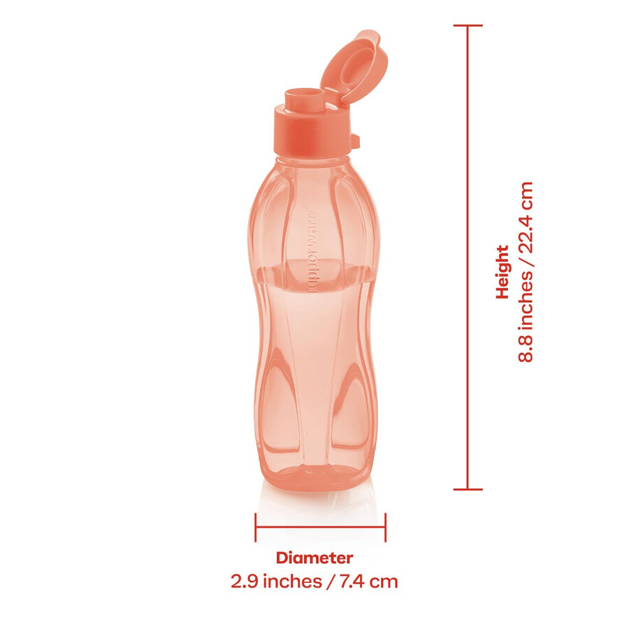 bouteille eco petit modèle orange
