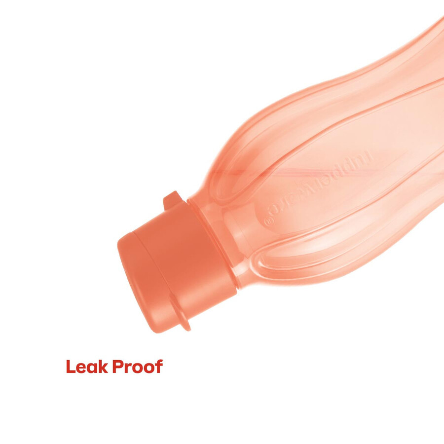 bouteille eco petit modèle orange