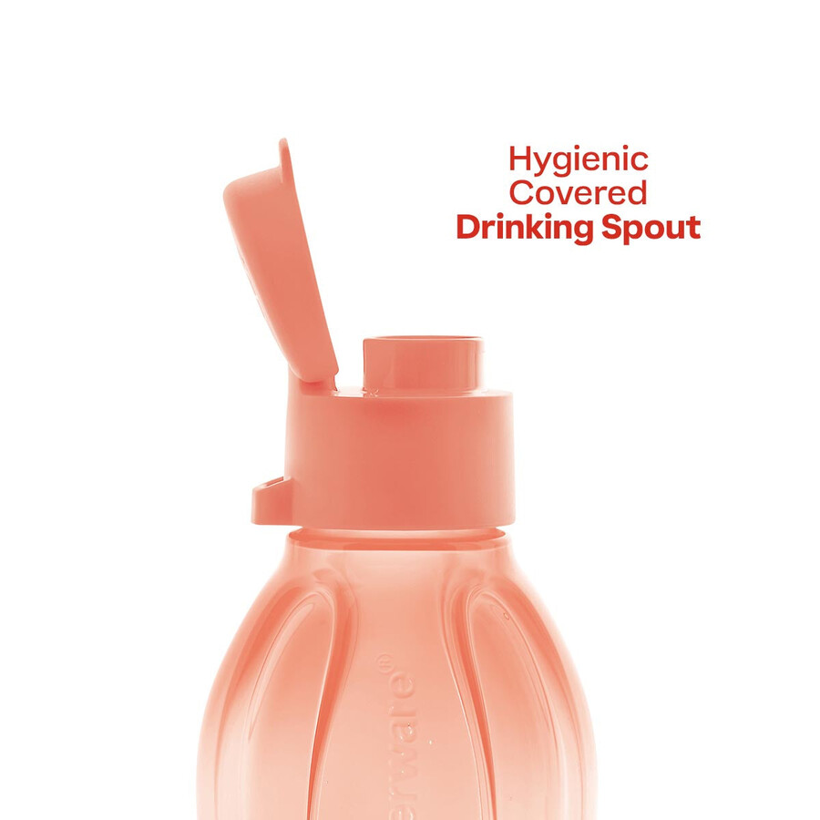 bouteille eco petit modèle orange