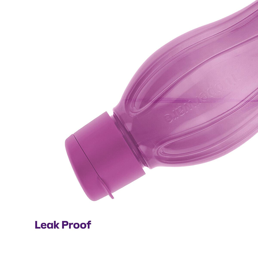 bouteille eco grand format violet