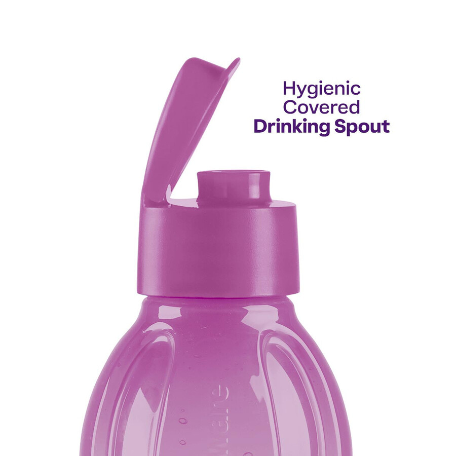 bouteille eco grand format violet