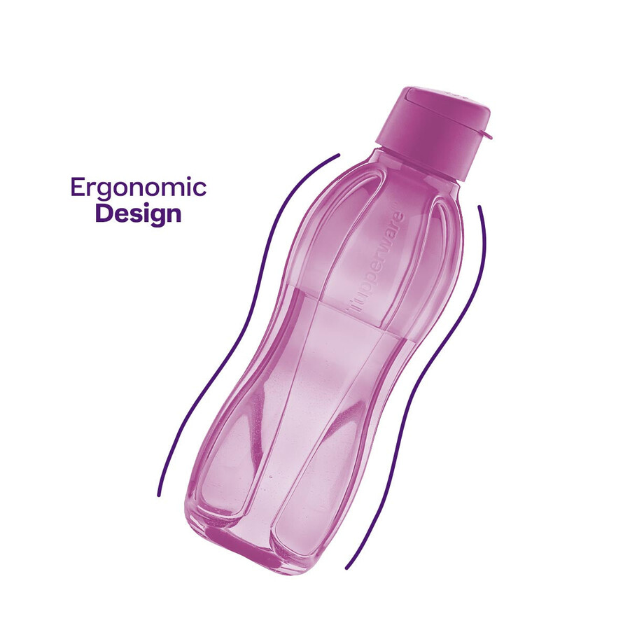 bouteille eco grand format violet