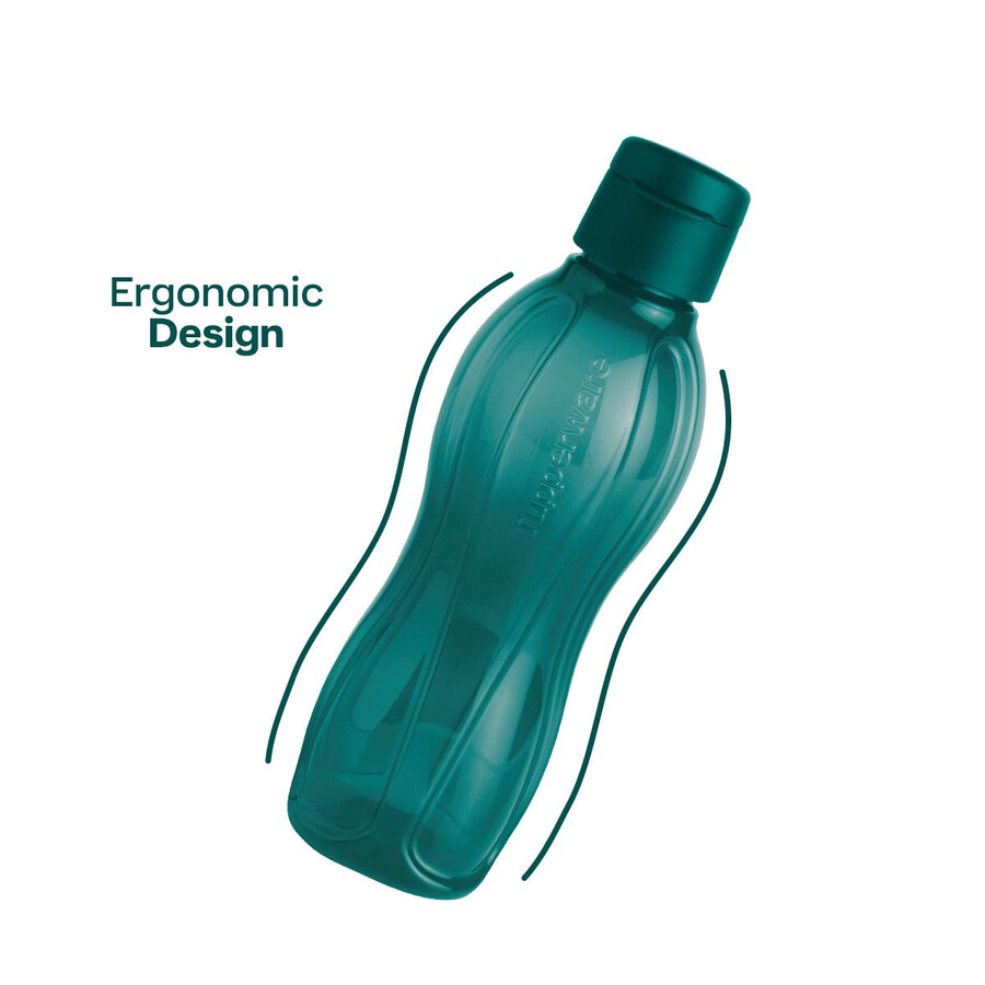 bouteille eco moyenne