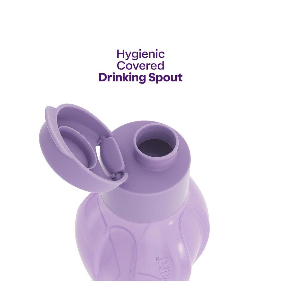 bouteille eco moyenne violette
