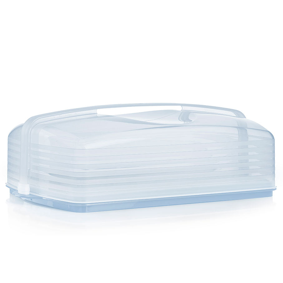 cake taker rectangulaire brume islandaise
